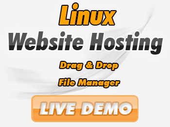 Website Hosting